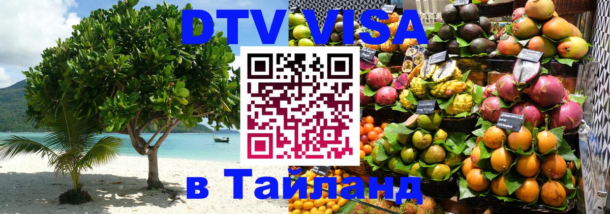 Оформление DTV визы под ключ: стоимость и тарифы, только загранпаспорт - Токио  05.12.2025 